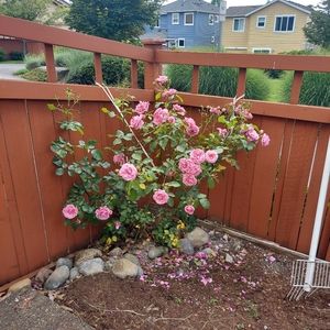 Meet your Posher, Verónica